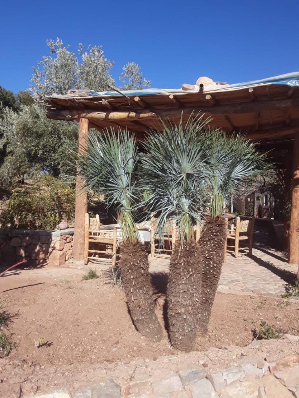 代姆纳特 Kasbah Timdaf酒店 外观 照片