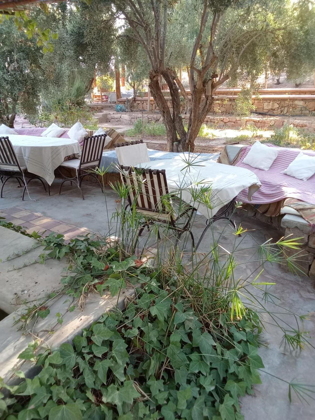 代姆纳特 Kasbah Timdaf酒店 外观 照片