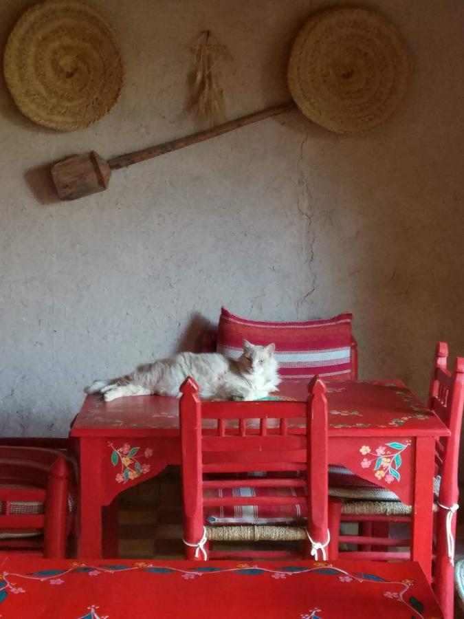 代姆纳特 Kasbah Timdaf酒店 外观 照片